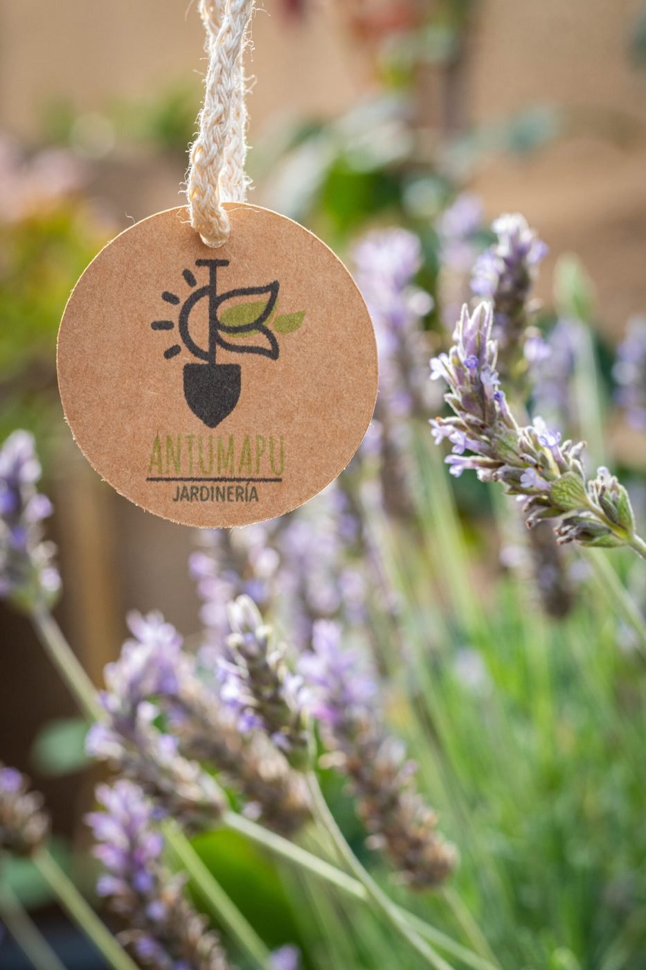 Branding Antumapu Jardinería